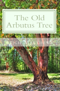 The Old Arbutus Tree